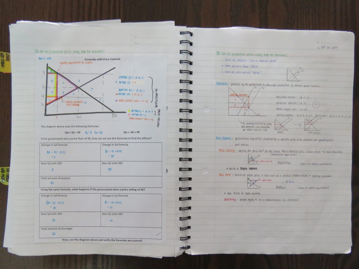 Read more about the article Holistic Education: Interactive Notebooks
