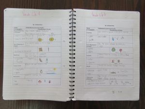 Vocab sample 1